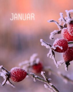 ✌🏻January Dump 
1️⃣ Silvester mit Freunden feiern.
2️⃣ …und am 1.1. lecker zu 10t frühstücken.
3️⃣ Wilder Kaiser 🏂 ❄️ ⛷️ mit der Family
4️⃣ Gute Tat: Die Kinder machen Frühstück
5️⃣ Guter Zweck: hey.lumico verschenkt Reststoffe
6️⃣ Große Liebe. Es schneit! 
7️⃣ Von wegen Blue Monday. Liebste Osthalle.
8️⃣ Endlich 365 Tage Studi-Ticket für mich.
9️⃣ Spielen macht mich glücklich. #familytime 
🔟+ Handball >3 !! Der Januar rockt.
#januarydump #januar2026 #heylumico #januarrückblick